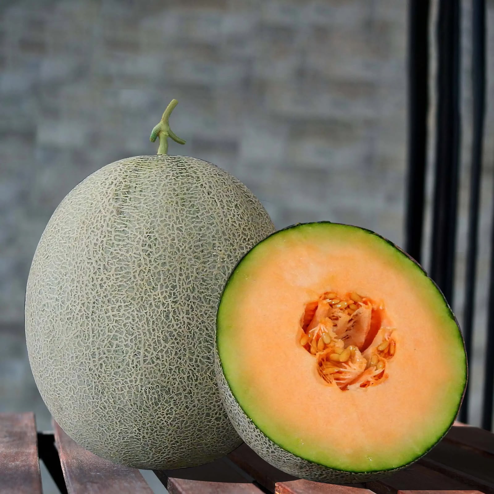 Melon daging orens grade B